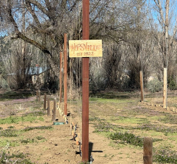 A sign is posted on the side of a pole.