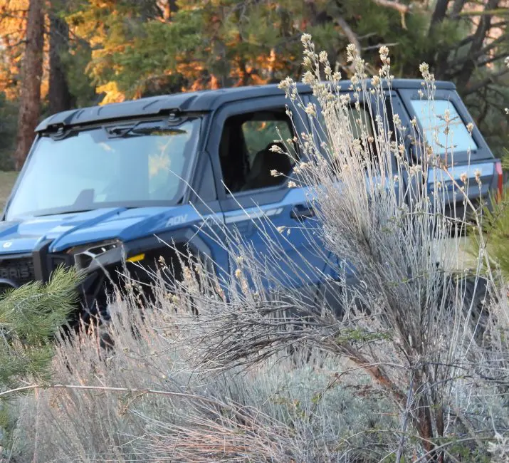 A dog sitting in the back of a blue jeep.